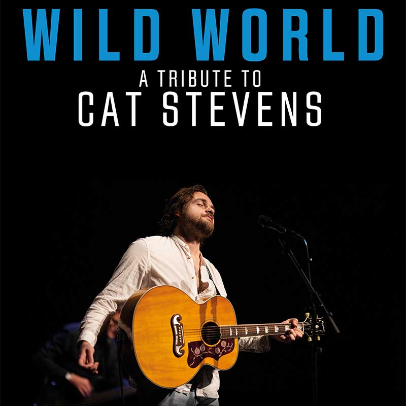 Plakatmotiv Keyvisual Wild World - A Tribute to Cat Stevenes 2024 im Theater am Marientor Duisburg