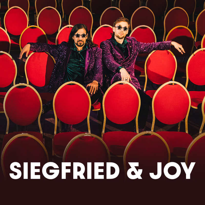 Bannermotiv für Siegfried & Joy in Theater am Marientor Duisburg